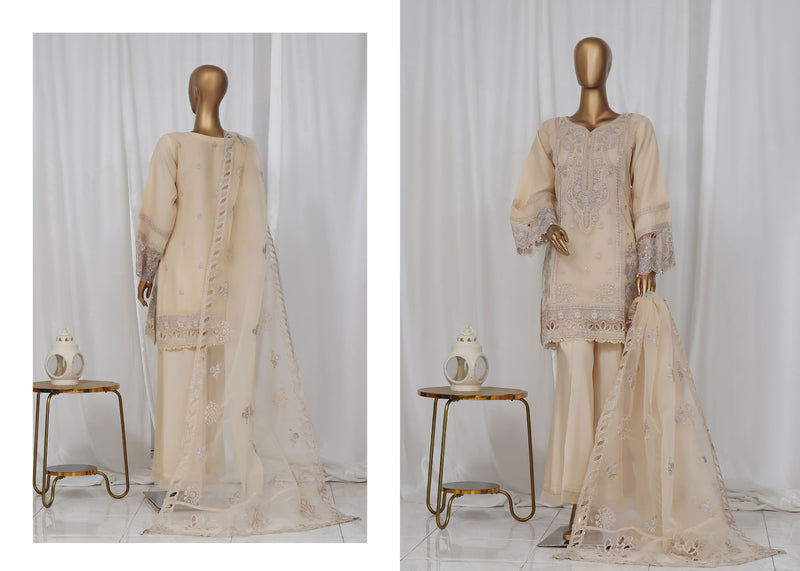 Organza - Stitched Embroidered Kurti & Dupatta with Hand work - Skin